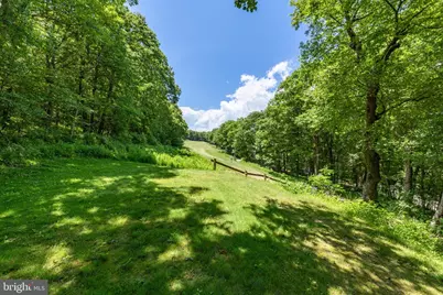 75 N Forest Drive, Wintergreen, VA 22967 - Photo 50