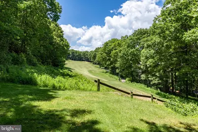 75 N Forest Drive, Wintergreen, VA 22967 - Photo 6