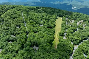 75 N Forest Dr, Wintergreen, VA 22967 - Photo 42