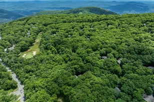 75 N Forest Dr, Wintergreen, VA 22967 - Photo 62