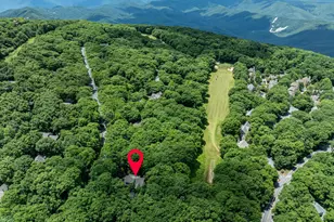 75 N Forest Dr, Wintergreen, VA 22967 - Photo 60