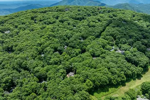75 N Forest Dr, Wintergreen, VA 22967 - Photo 58