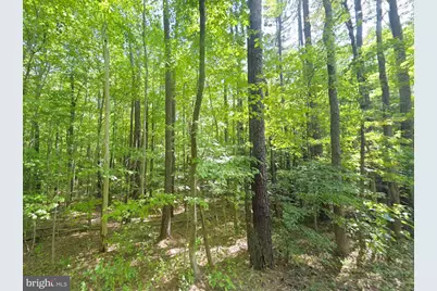 8944 Jessie Dupont Memorial Highway, Kilmarnock, VA 22482 - Photo 6