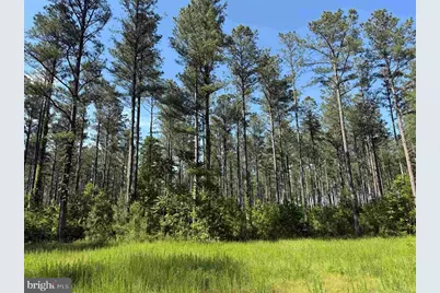 Dodlyt Road (Tract: Bk2932), Heathsville, VA 22473 - Photo 16