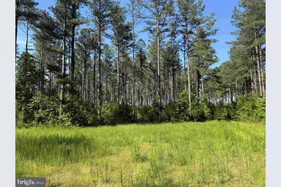 Dodlyt Road (Tract: Bk2932), Heathsville, VA 22473 - Photo 12