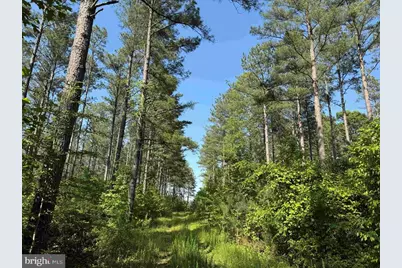Dodlyt Road (Tract: Bk2932), Heathsville, VA 22473 - Photo 14