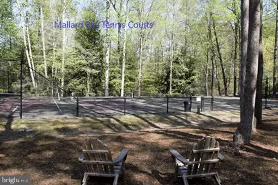 Lot 145 Pintail Lane, Heathsville, VA 22473 - Photo 10