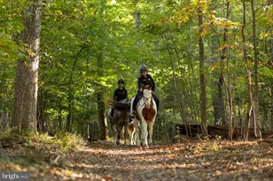 143 Edgemont Cir, Locust Grove, VA 22508 - Photo 74