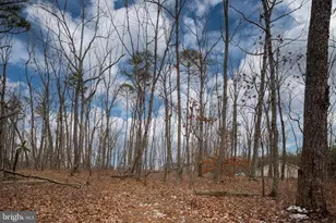 28270 Tatum Rd, Unionville, VA 22567 - Photo 50