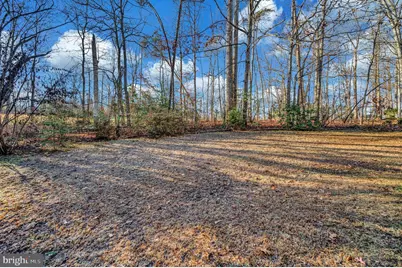 111 Birchside Circle, Locust Grove, VA 22508 - Photo 46