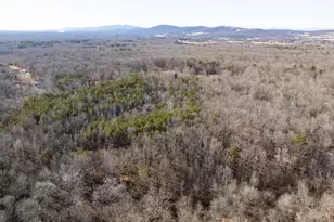16125 Mountain Track Rd, Orange, VA 22960 - Photo 50
