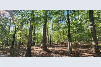 Lot 3 Lees Court, Locust Grove, VA 22508 - Photo 8