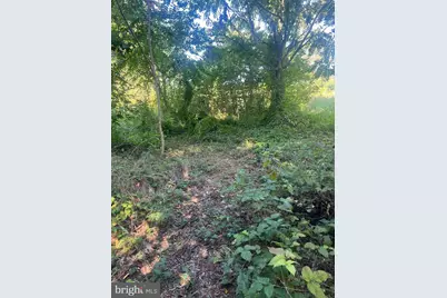 James Madison Highway, Gordonsville, VA 22942 - Photo 6