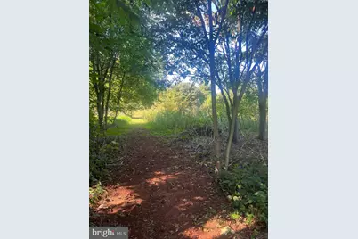 James Madison Highway, Gordonsville, VA 22942 - Photo 4