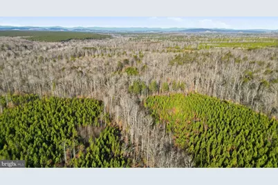 15284 Poplar Road, Orange, VA 22960 - Photo 6