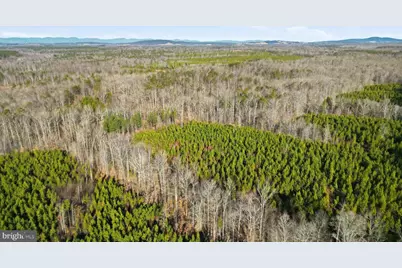 15284 Poplar Road, Orange, VA 22960 - Photo 8