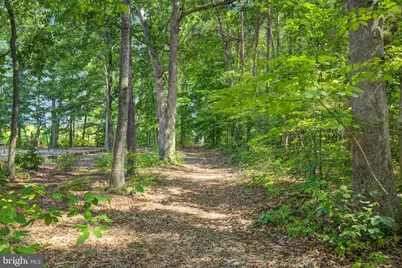 36122 Wilderness Shores Way #LOT 587, Locust Grove, VA 22508 - Photo 42