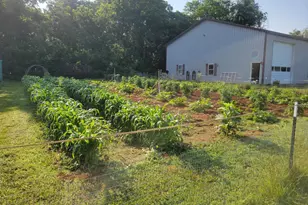 11576 Walters Rd, Orange, VA 22960 - Photo 62