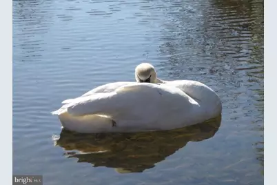 204 Wakefield Drive, Locust Grove, VA 22508 - Photo 44