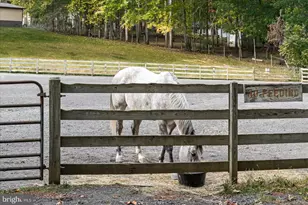 604 Stratford Cir, Locust Grove, VA 22508 - Photo 58