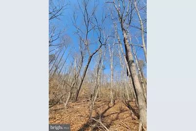 0 Lakefront Court, Orange, VA 22960 - Photo 6