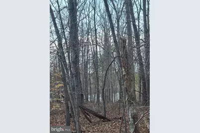 0 Lakefront Court, Orange, VA 22960 - Photo 10