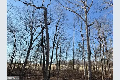 206 Saylers Creek Road, Locust Grove, VA 22508 - Photo 36