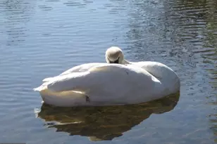 550 Harrison Cir, Locust Grove, VA 22508 - Photo 14