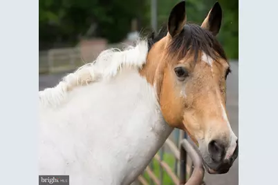 104 Spring Grove Lane, Locust Grove, VA 22508 - Photo 16