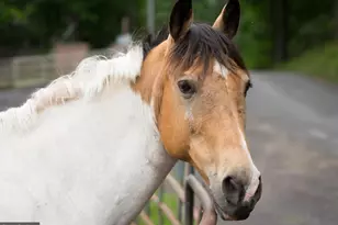 104 Spring Grove Ln, Locust Grove, VA 22508 - Photo 16