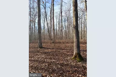 R/W Off Justice Drive, Orange, VA 22960 - Photo 4