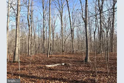 R/W Off Justice Drive, Orange, VA 22960 - Photo 1