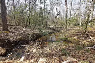 28100 Tatum Rd, Unionville, VA 22567 - Photo 34