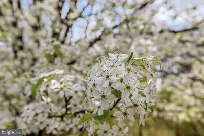 11464 Winslow Drive, Orange, VA 22960 - Photo 26