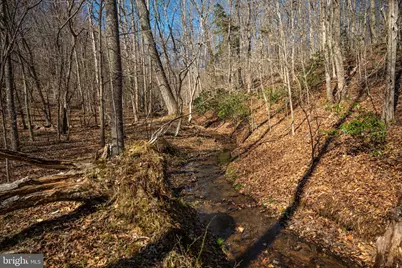 0 Cox Mill Rd, Gordonsville, VA 22942 - Photo 20