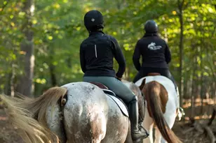 111 Chesterfield Ct, Locust Grove, VA 22508 - Photo 64