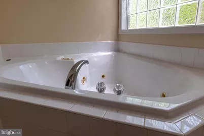 115 Harris Court, Locust Grove, VA 22508 - Photo 54