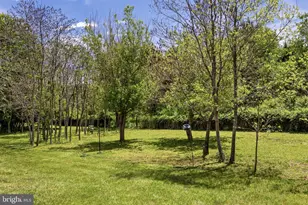 26590 Pennfields Dr, Orange, VA 22960 - Photo 54