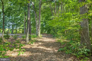 36253 Coyote Trail, Locust Grove, VA 22508 - Photo 42