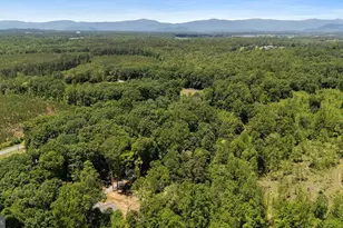 12121 Albano Rd, Barboursville, VA 22923 - Photo 66