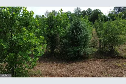 24375 Constitution Highway, Unionville, VA 22567 - Photo 20