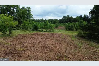 24375 Constitution Highway, Unionville, VA 22567 - Photo 22