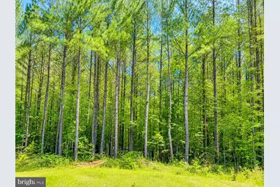 Governor Almond Rd, Locust Grove, VA 22508 - Photo 1