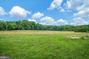 6317 Louisianna Rd, Locust Grove, VA 22508 - Photo 42
