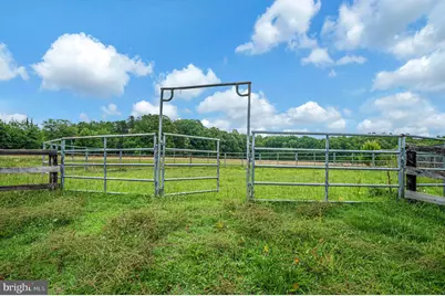 6317 Louisianna Road, Locust Grove, VA 22508 - Photo 40