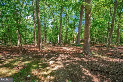 143 Jefferson Avenue, Locust Grove, VA 22508 - Photo 36