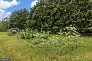 31185 Price Rd, Locust Grove, VA 22508 - Photo 36