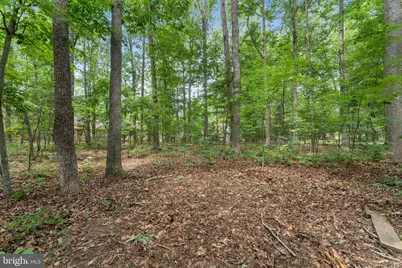 105 Tall Pines Avenue, Locust Grove, VA 22508 - Photo 38