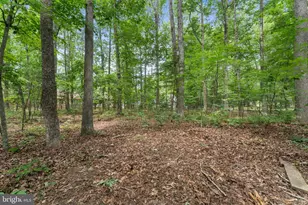 105 Tall Pines Ave, Locust Grove, VA 22508 - Photo 38