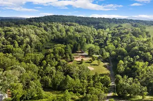 9271 Little Skyline Dr, Orange, VA 22960 - Photo 48